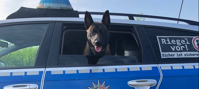 Dortmund: Hubschrauber und Polizeihund helfen bei Festnahme