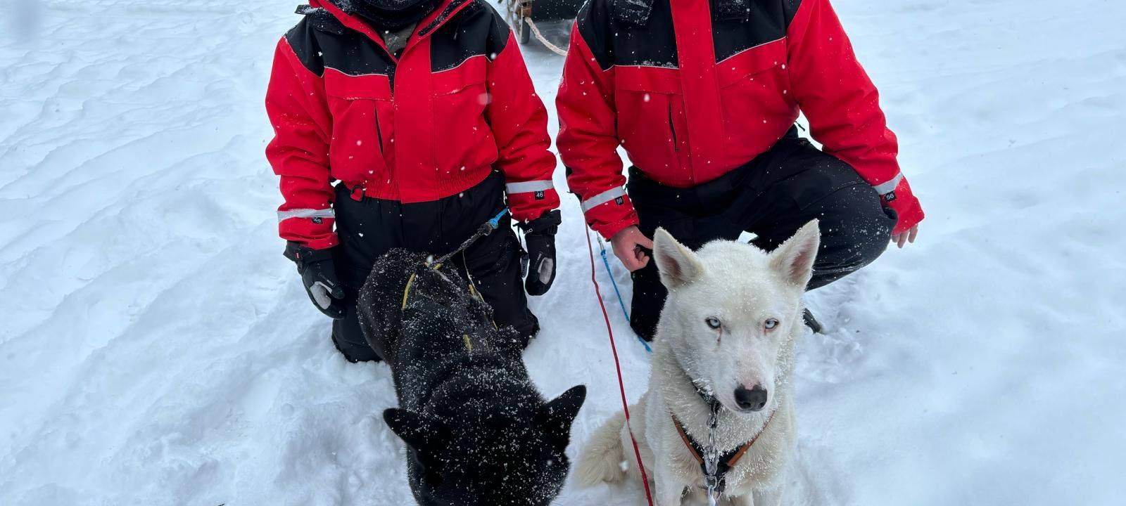 Von Dortmund zum Polarkreis