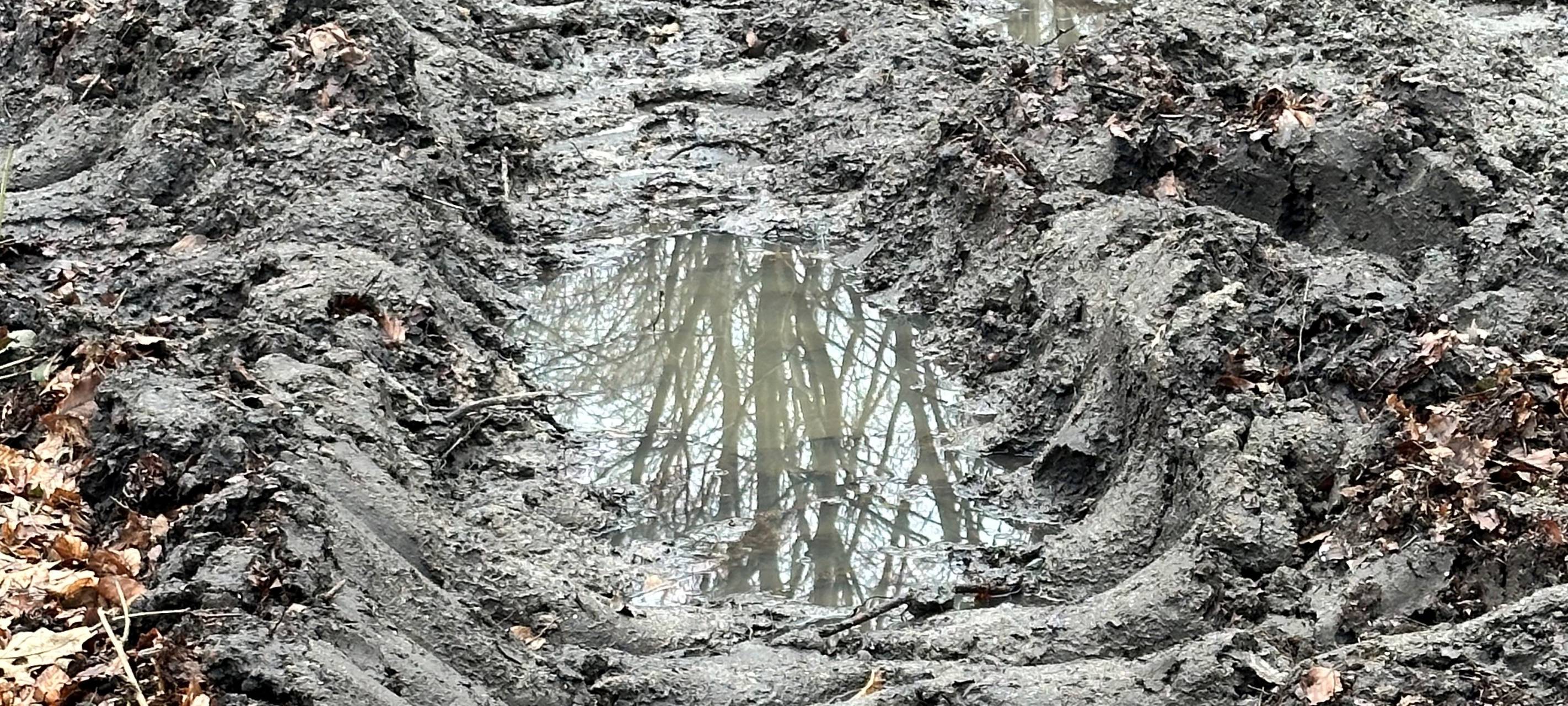Zerstörte Waldwege in Dortmund