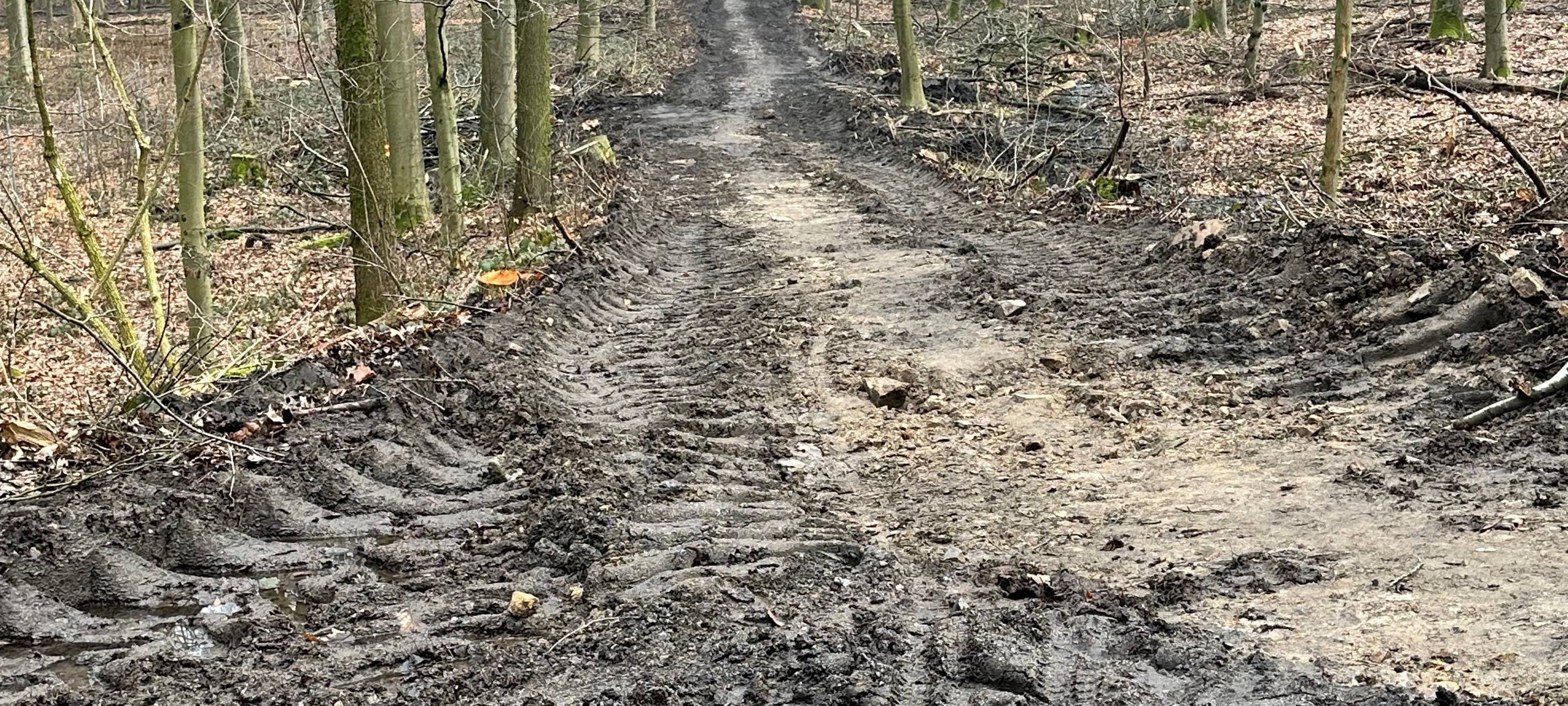 Zerstörte Waldwege in Dortmund