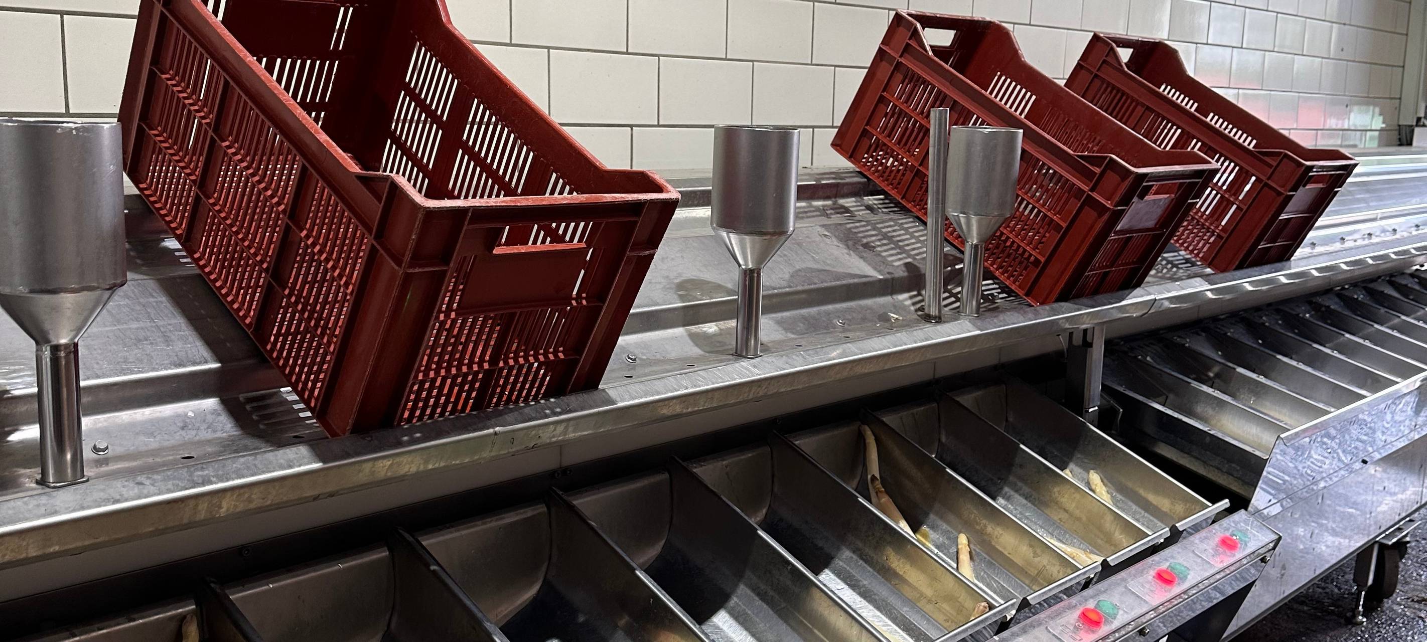 Spargelsaison in Dortmund gestartet