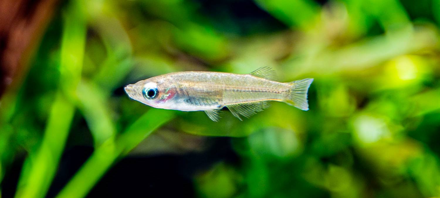 Dortmunder Zoo hat neue Bewohner