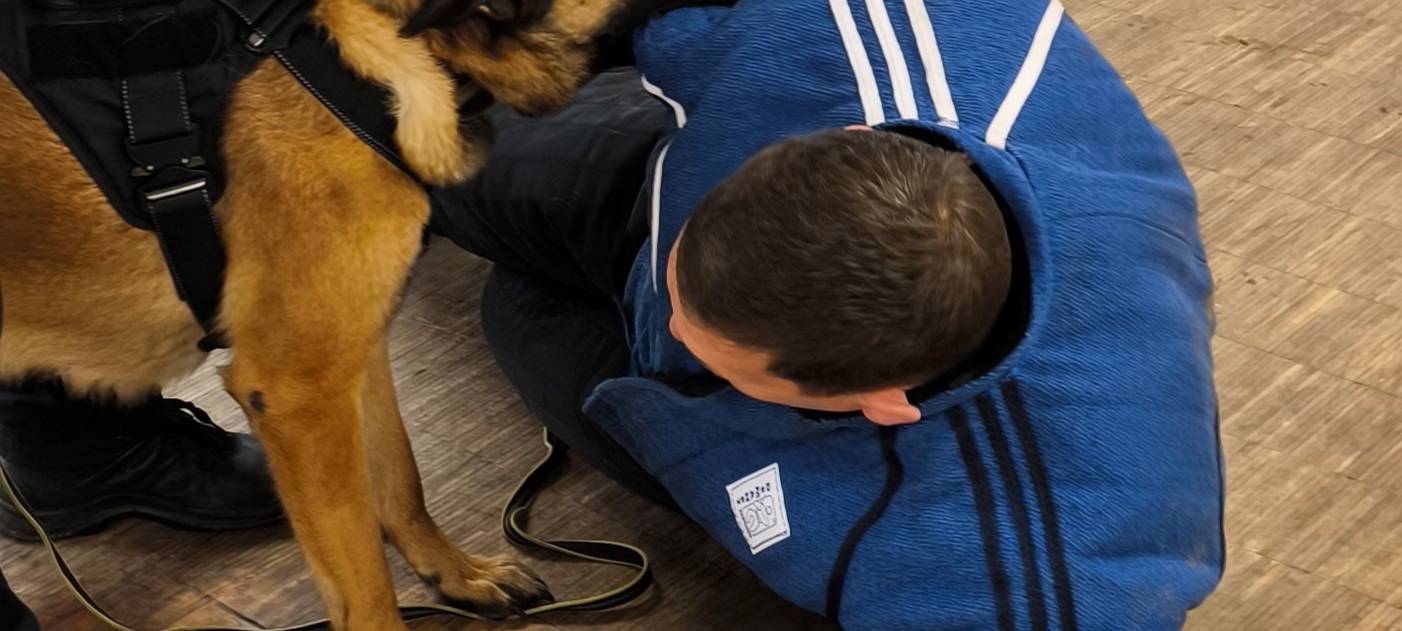 Ein Training mit den Dortmunder Polizeihunden