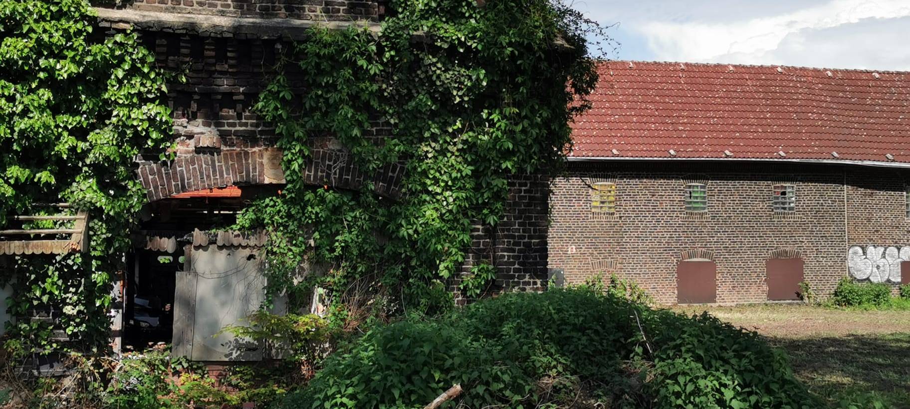 Vom Lost Place zum Bauernhof in Dortmund