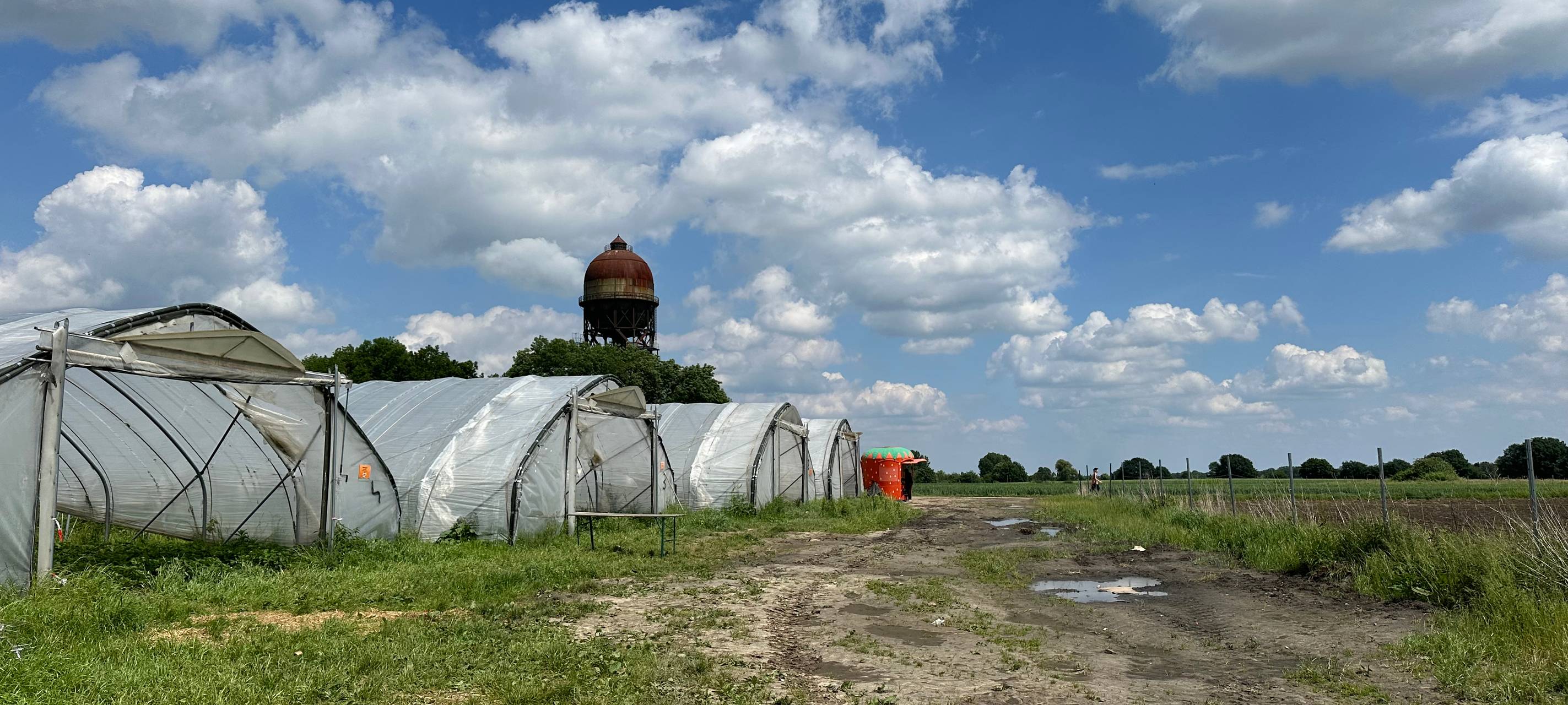 Die Erdbeersaison in Dortmund
