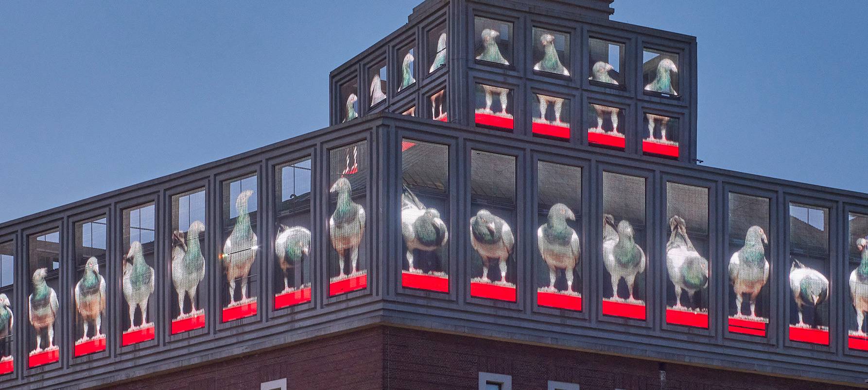 Mittelglückliche Dortmunder