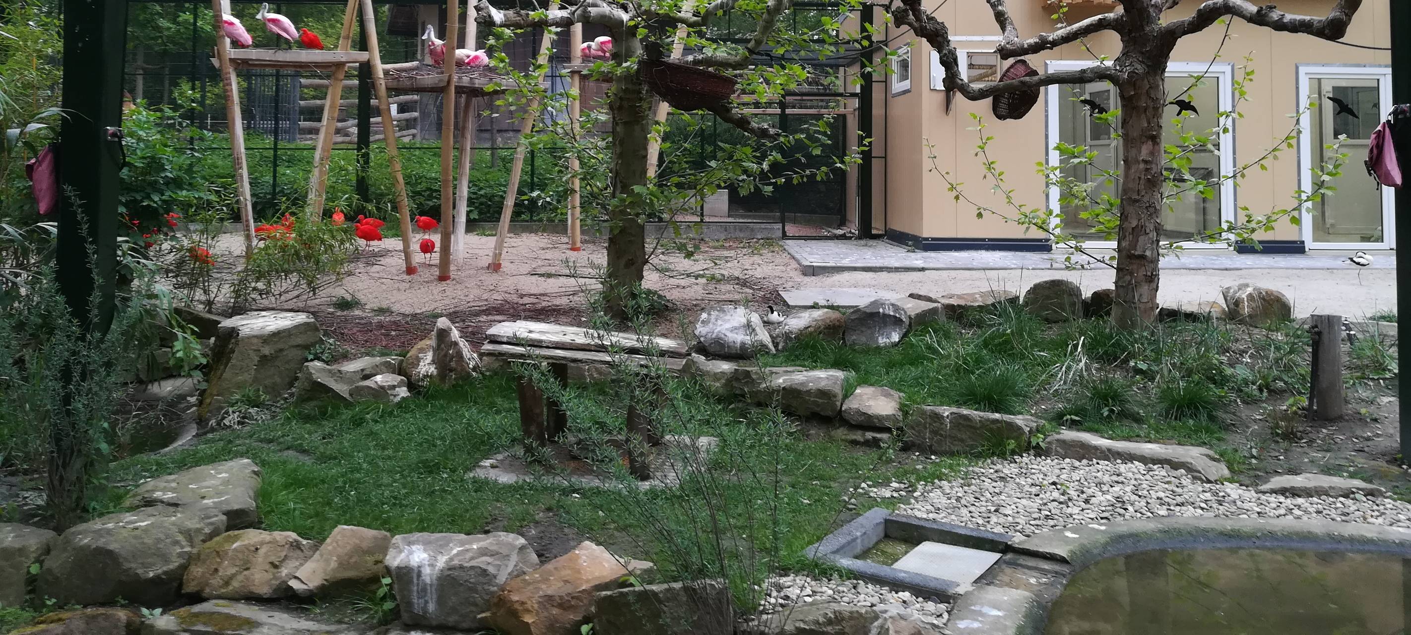 Die Zoofreunde Dortmund haben der Stadt offiziell die neue Ibis-Voliere übergeben