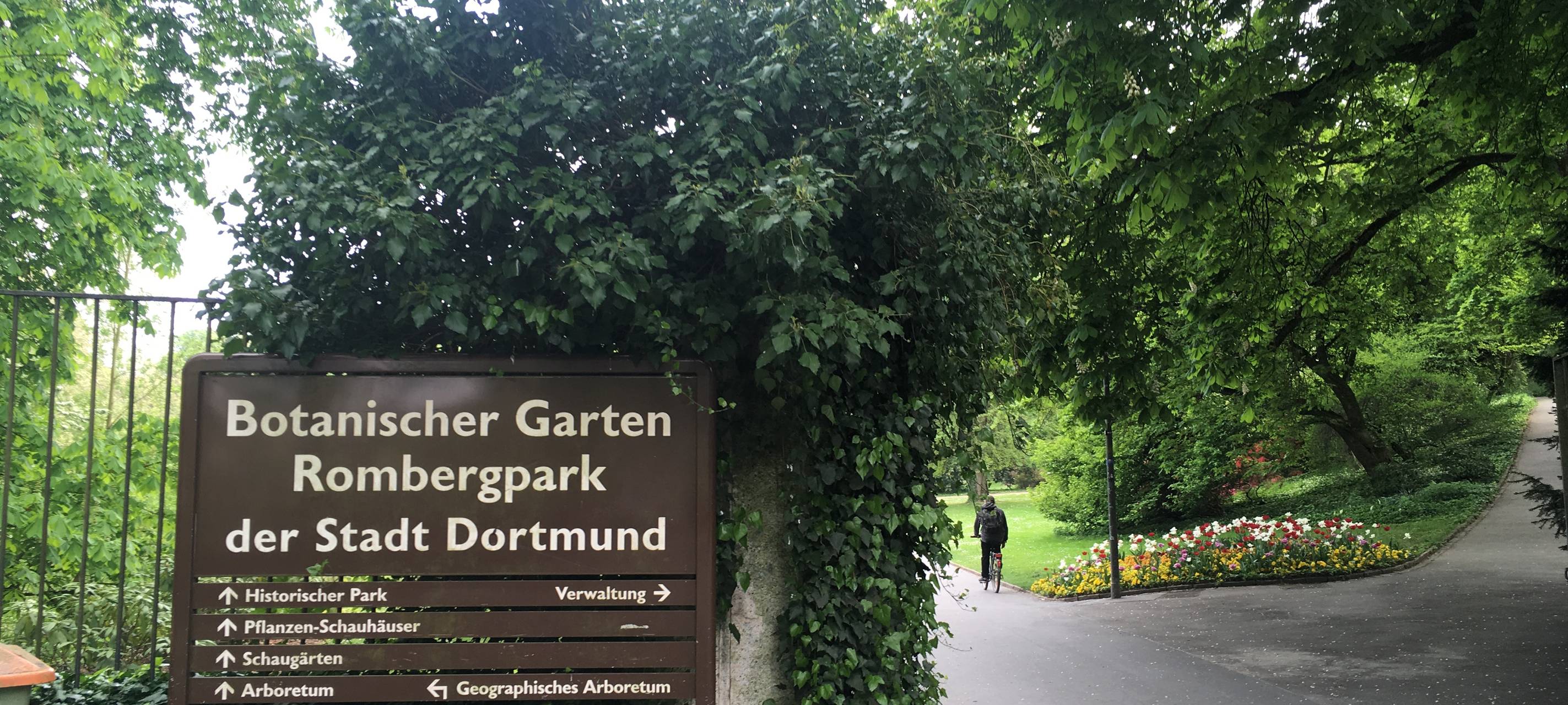Rombergpark soll schöner werden