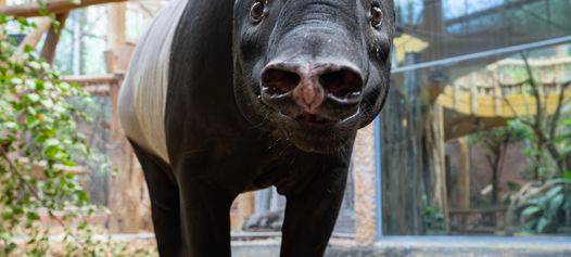 Zoo Dortmund: Willkommen Laila!