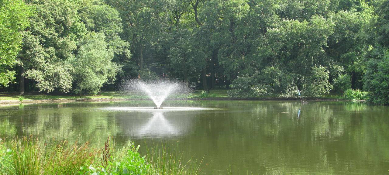 Tote Fische im Fredenbaumpark Dortmund