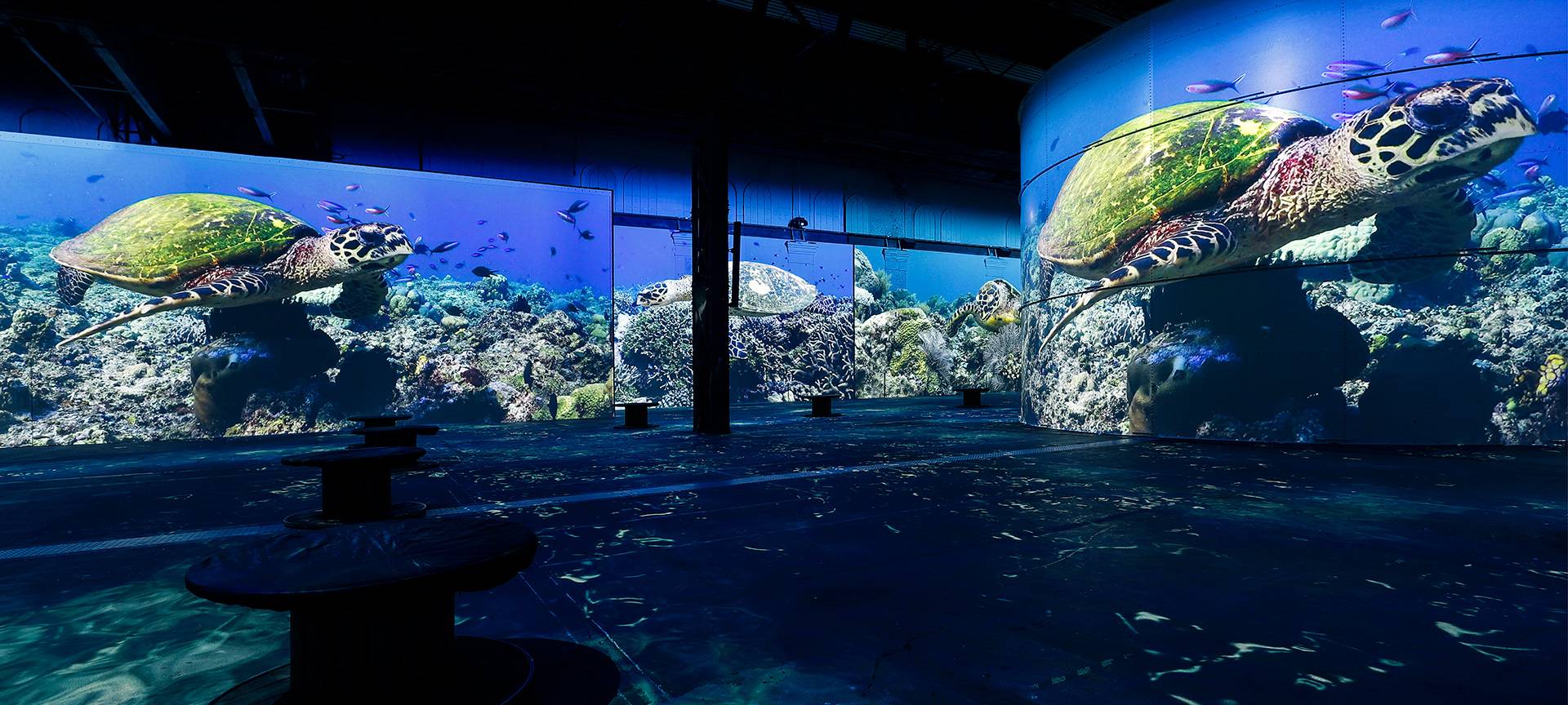 Wunderwelt Ozean startet in Dortmund