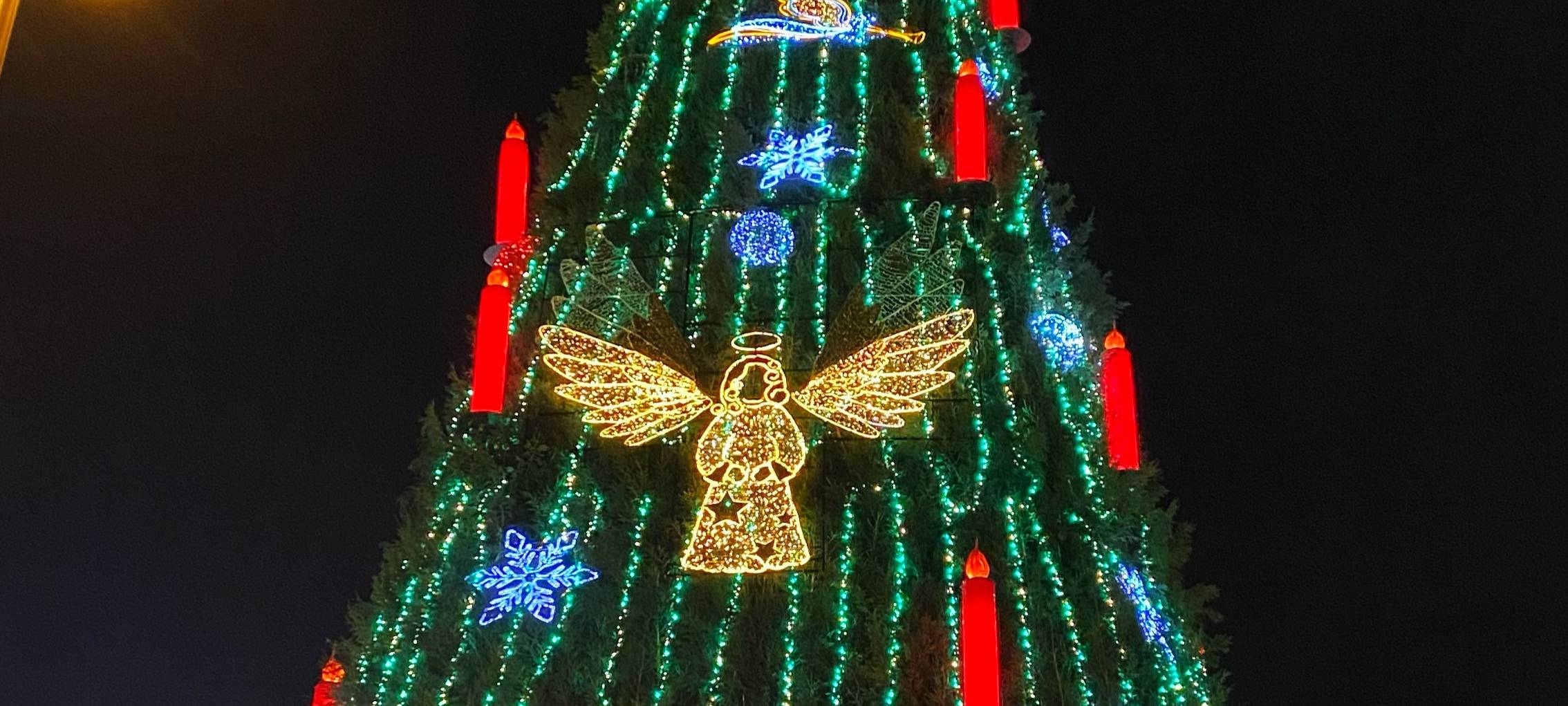Weihnachtsbaum in Dortmund: Aufbau und Überraschung