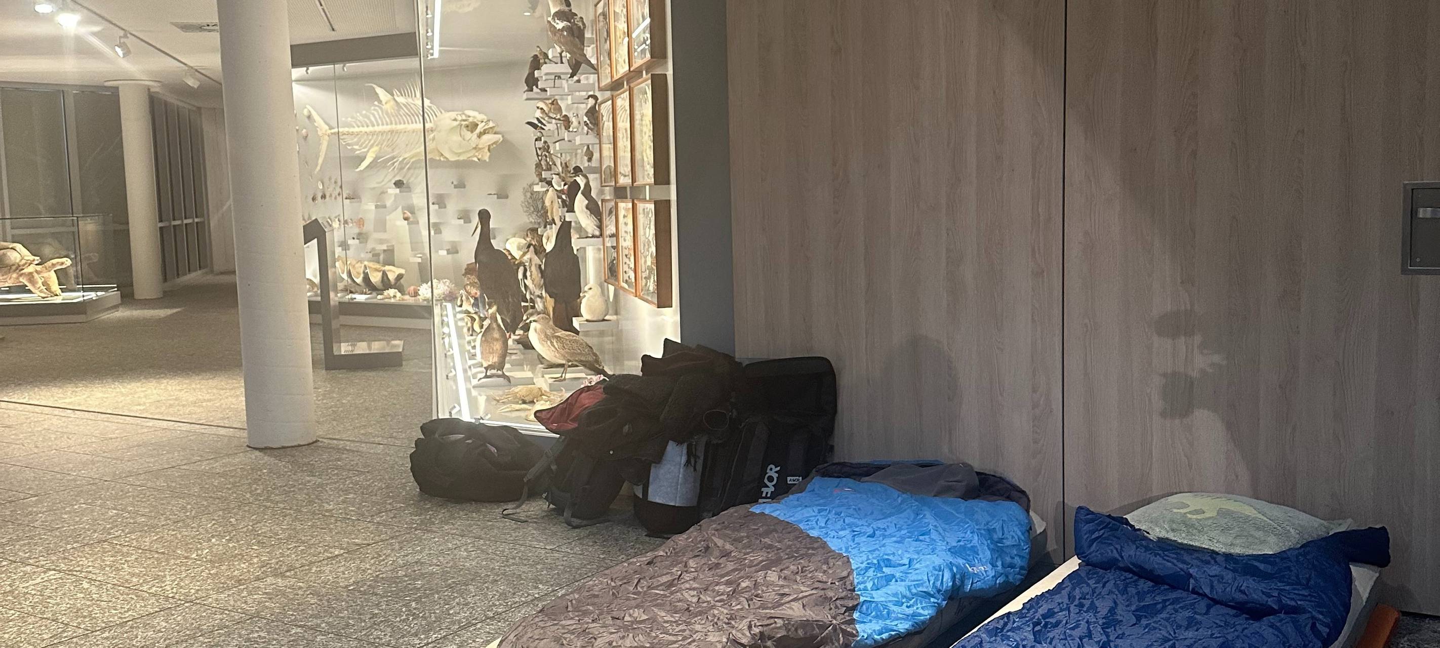 Nachts im Museum: Pyjamaparty für Erwachsene