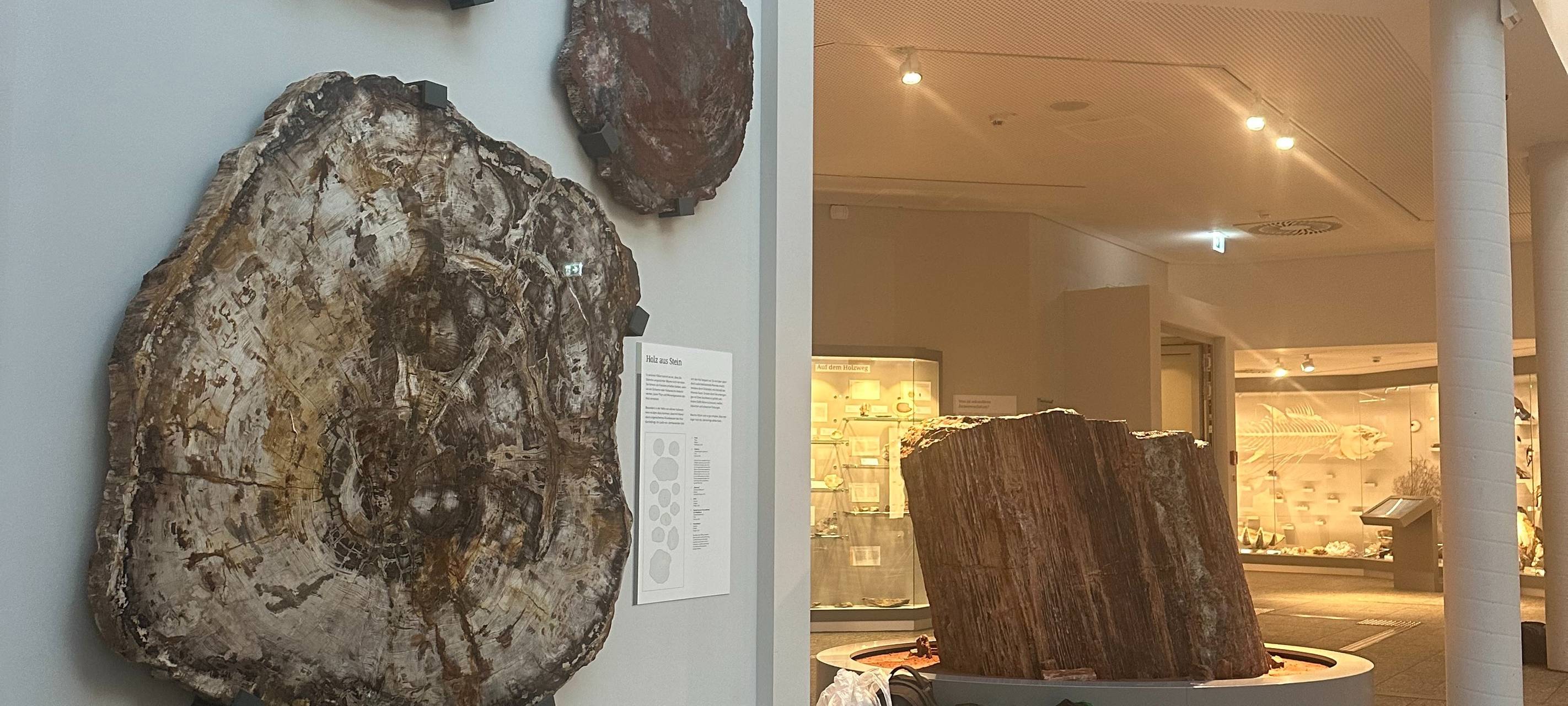 Nachts im Museum: Pyjamaparty für Erwachsene