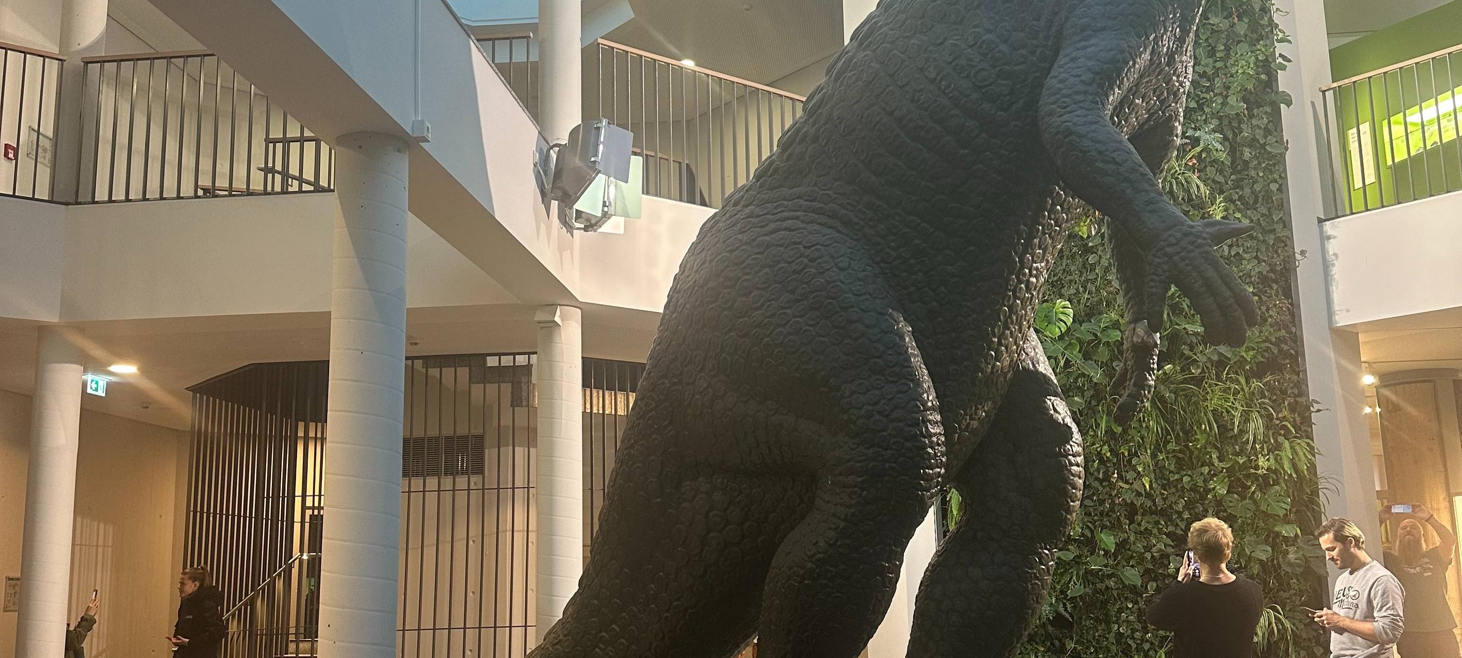 Nachts im Museum: Pyjamaparty für Erwachsene