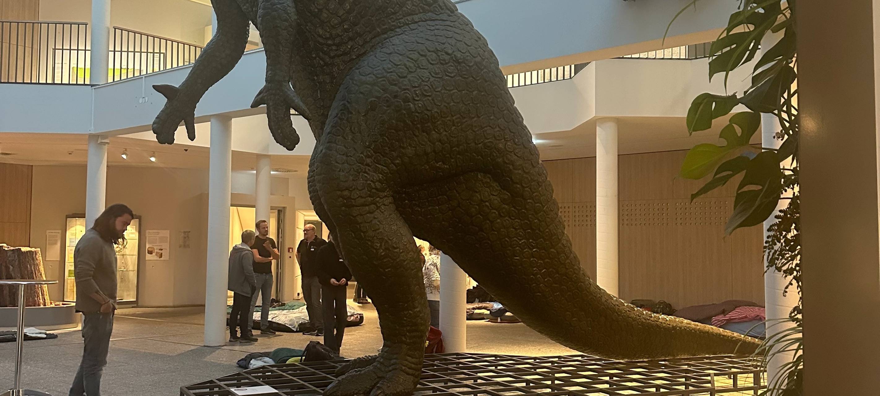 Nachts im Museum: Pyjamaparty für Erwachsene