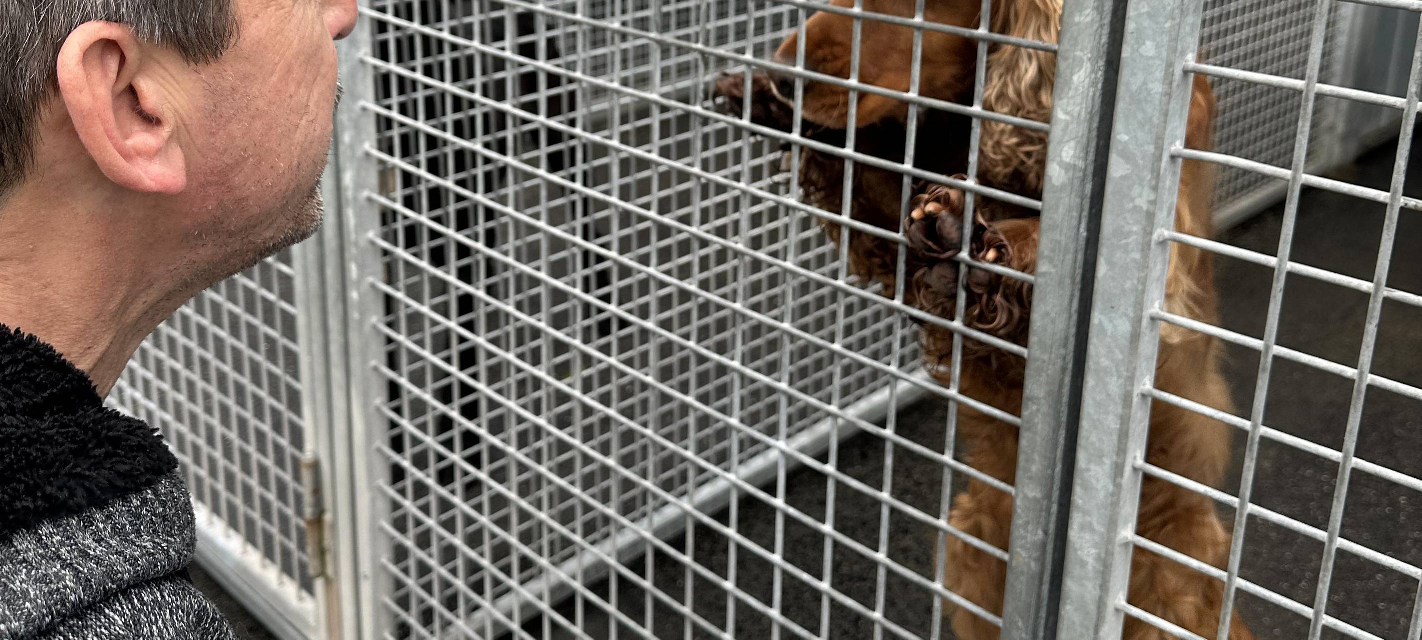 Tierheim Dortmund ist komplett voll