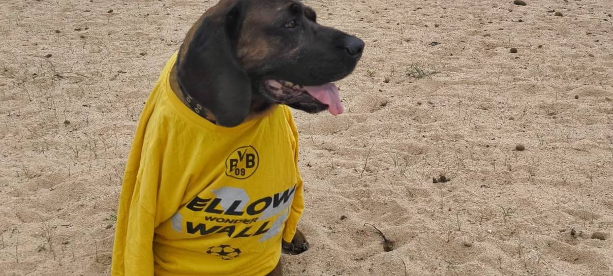 Der geschätzte Freitag vom 18.10.