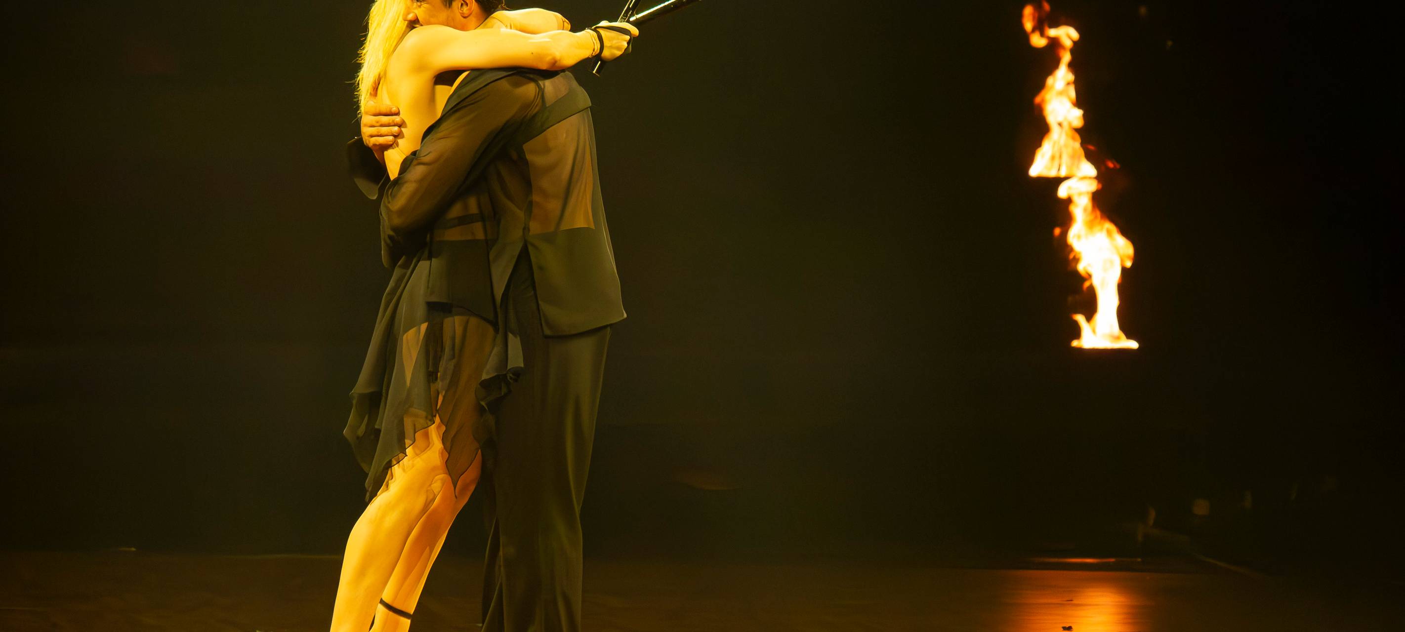 Let's Dance - Die Live Tour 2025