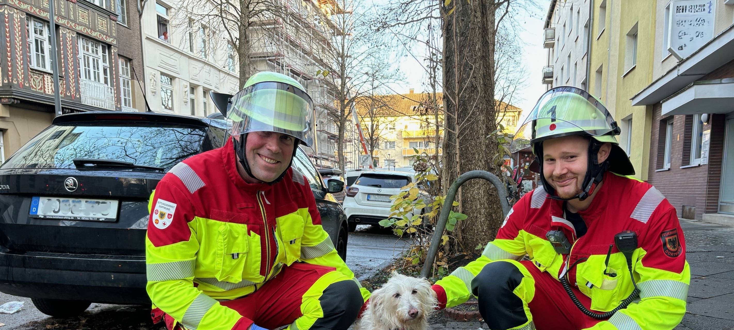 Dortmund: Rauchmelder rettet Hund