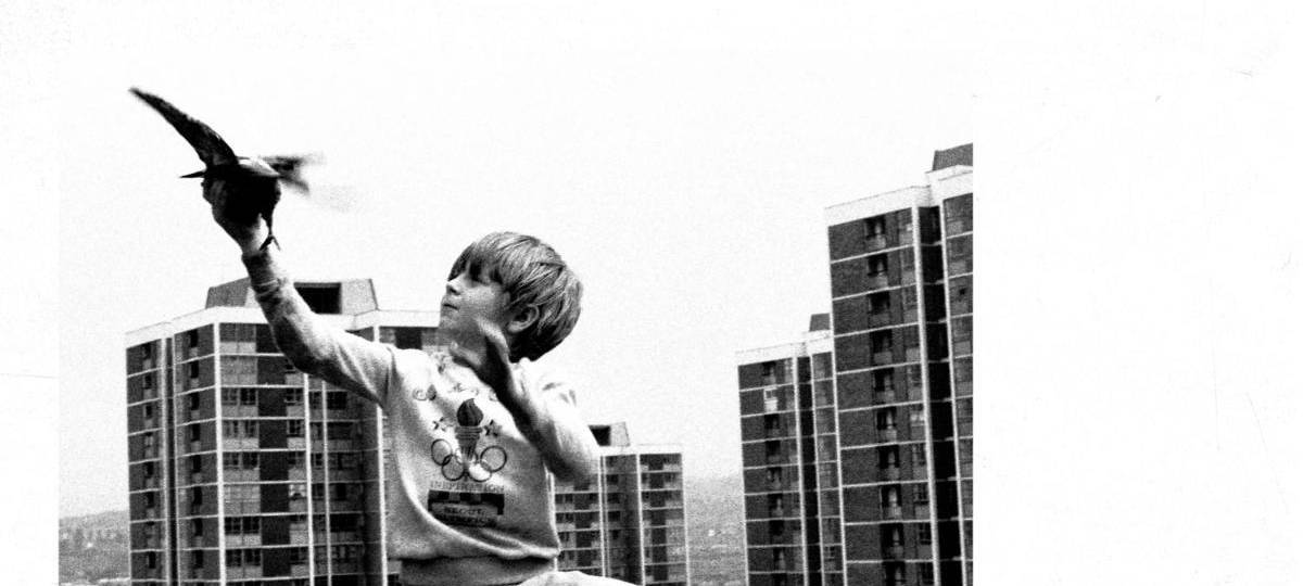 Das Musikcover der Single "People Watching" von Sam Fender zeigt ein schwarz-weiß Foto eines kleinen Jungen, der einen Vogel in der Hand hält.