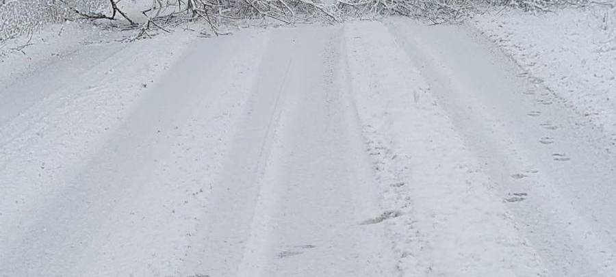 Schneechaos in Dortmund: Eine Chronik der Ereignisse