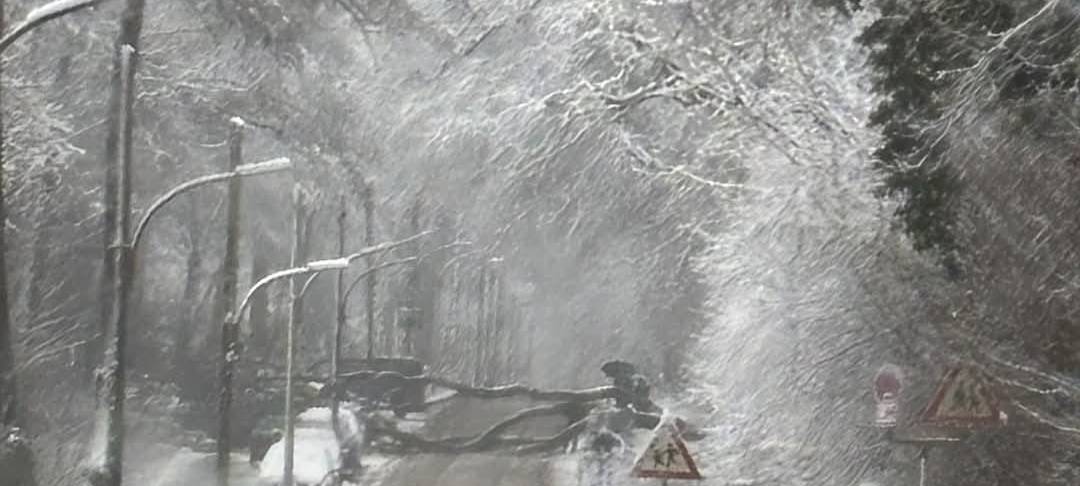 Schneechaos in Dortmund: Eine Chronik der Ereignisse