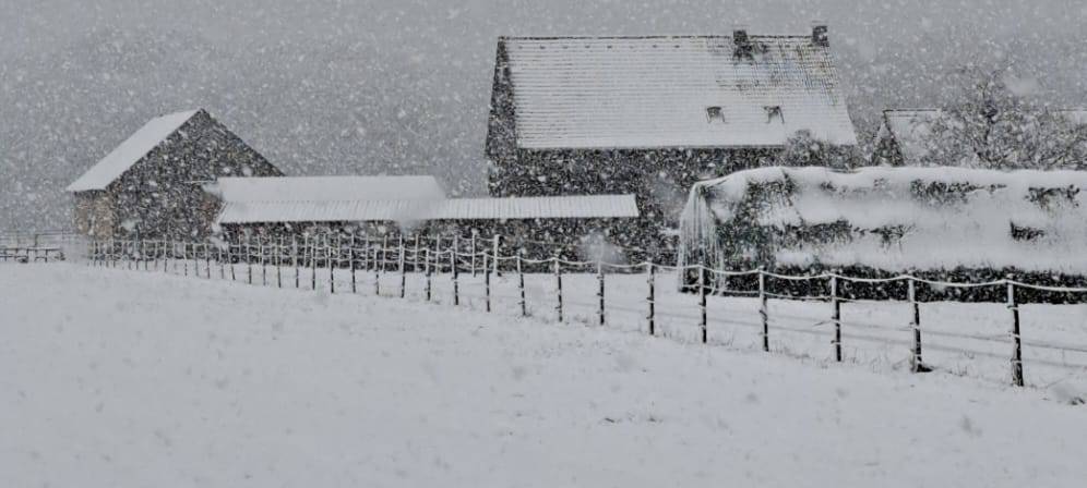 Schneechaos in Dortmund: Eine Chronik der Ereignisse