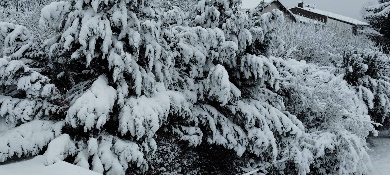 Schneechaos in Dortmund: Eine Chronik der Ereignisse