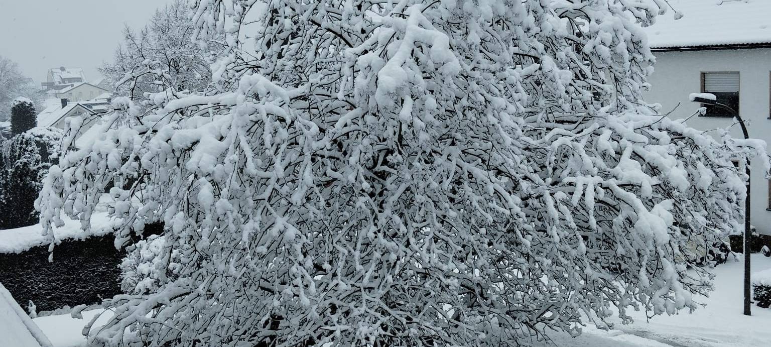 Schneechaos in Dortmund: Eine Chronik der Ereignisse