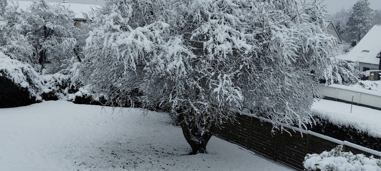 Schneechaos in Dortmund: Eine Chronik der Ereignisse
