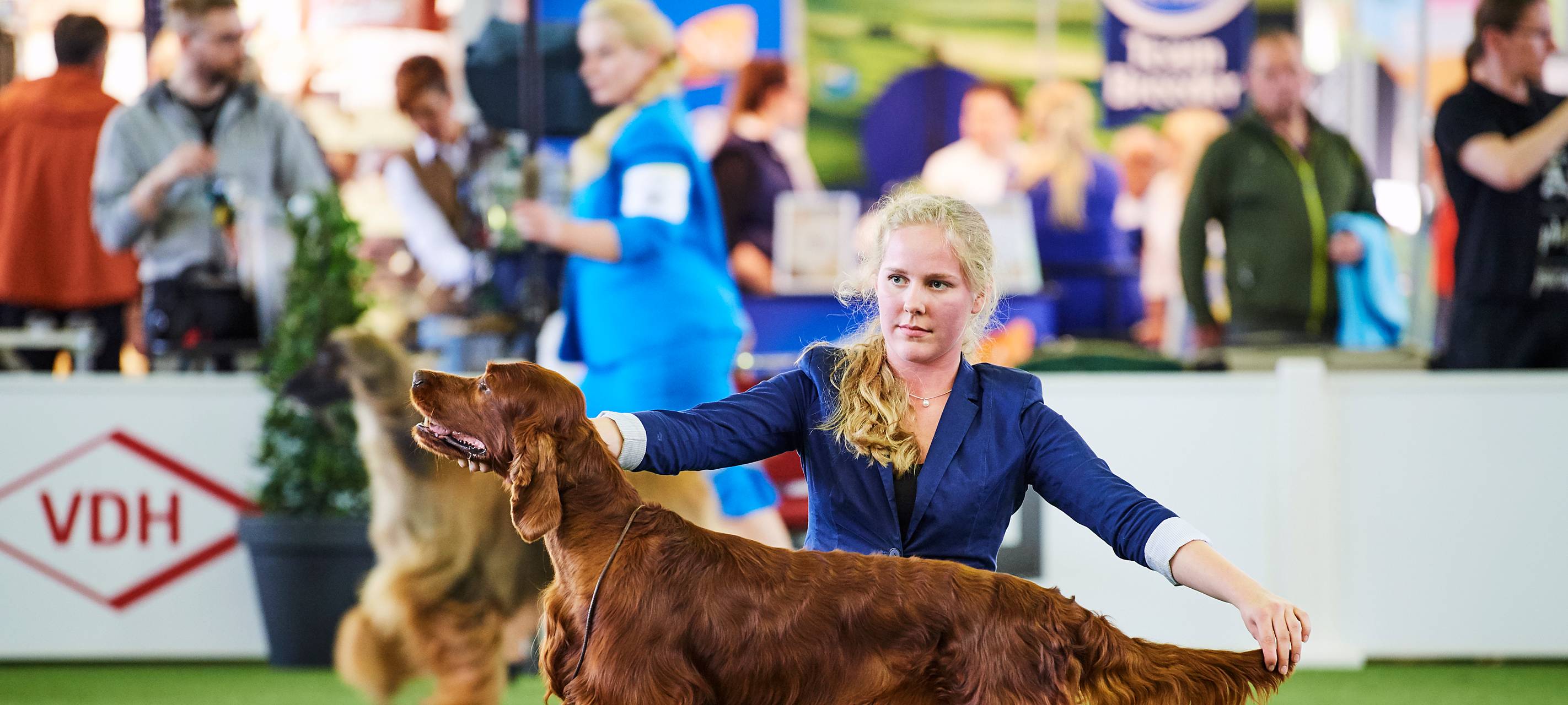 Hund und Katz Messe 2019