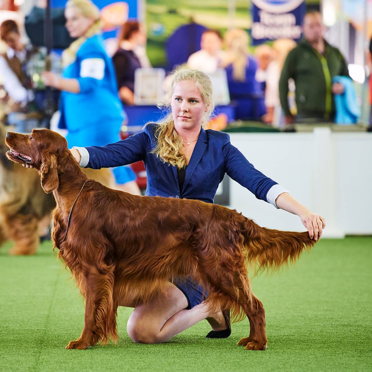 Hund und Katz Messe 2019 Radio 91.2