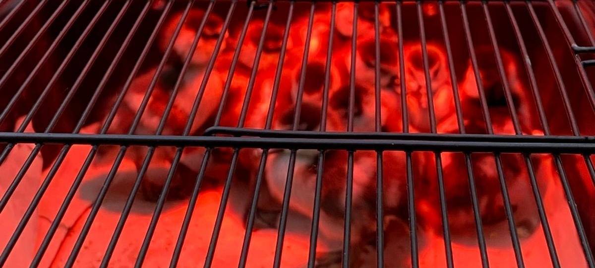 Gänsefamilie sorgt für Feuerwehreinsatz in Dortmund