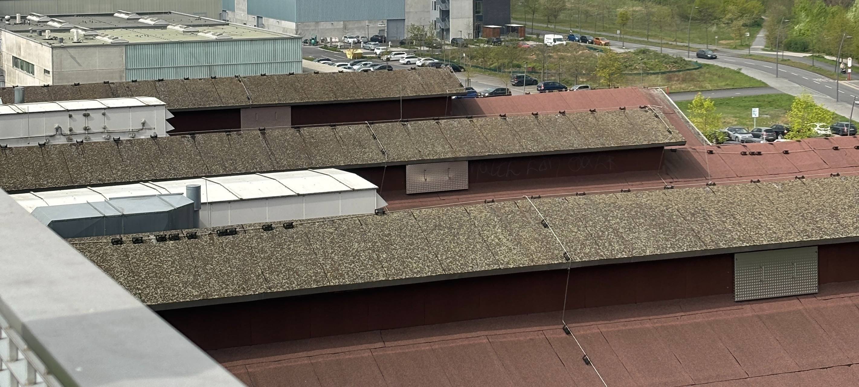 Schönes Wochenende: Skywalk und Beach-Bar öffnen wieder!