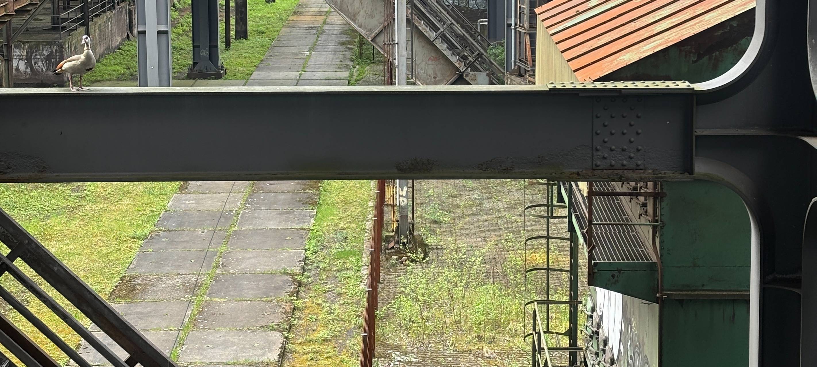 Schönes Wochenende: Skywalk und Beach-Bar öffnen wieder!