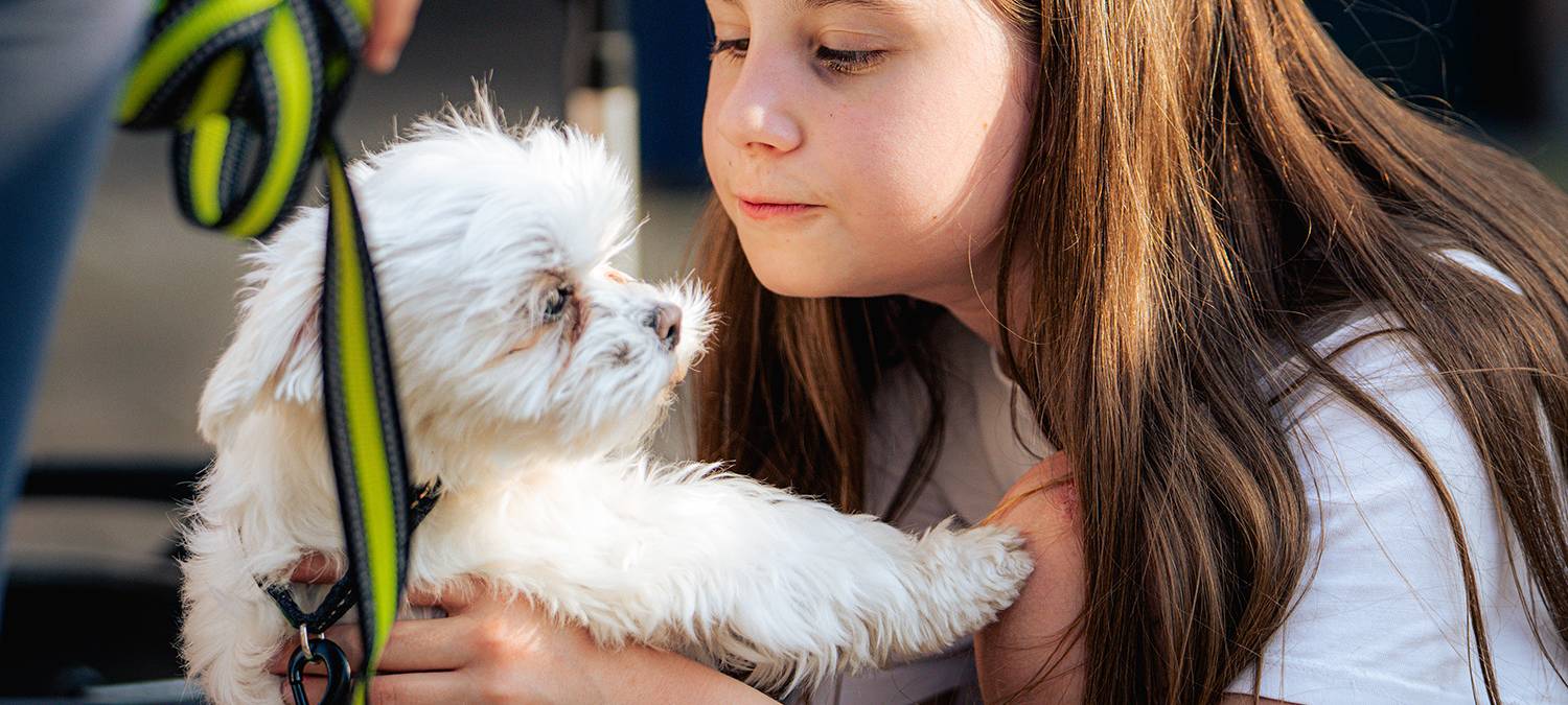 DORTBUNT.nebenan – Dortmunds größtes Nachbarschaftsfest