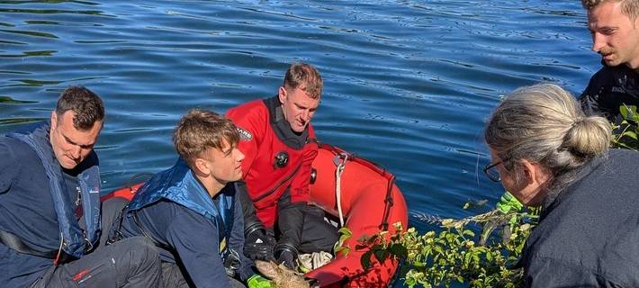 Dortmunder Feuerwehr rettet Rehbock