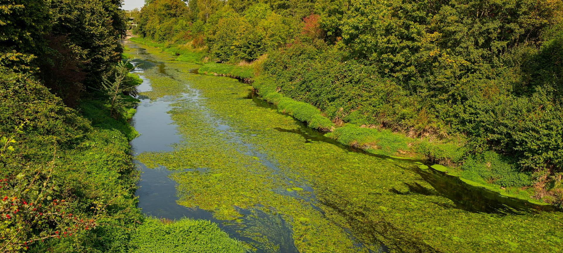 Dortmund: Mähboot in der Emscher