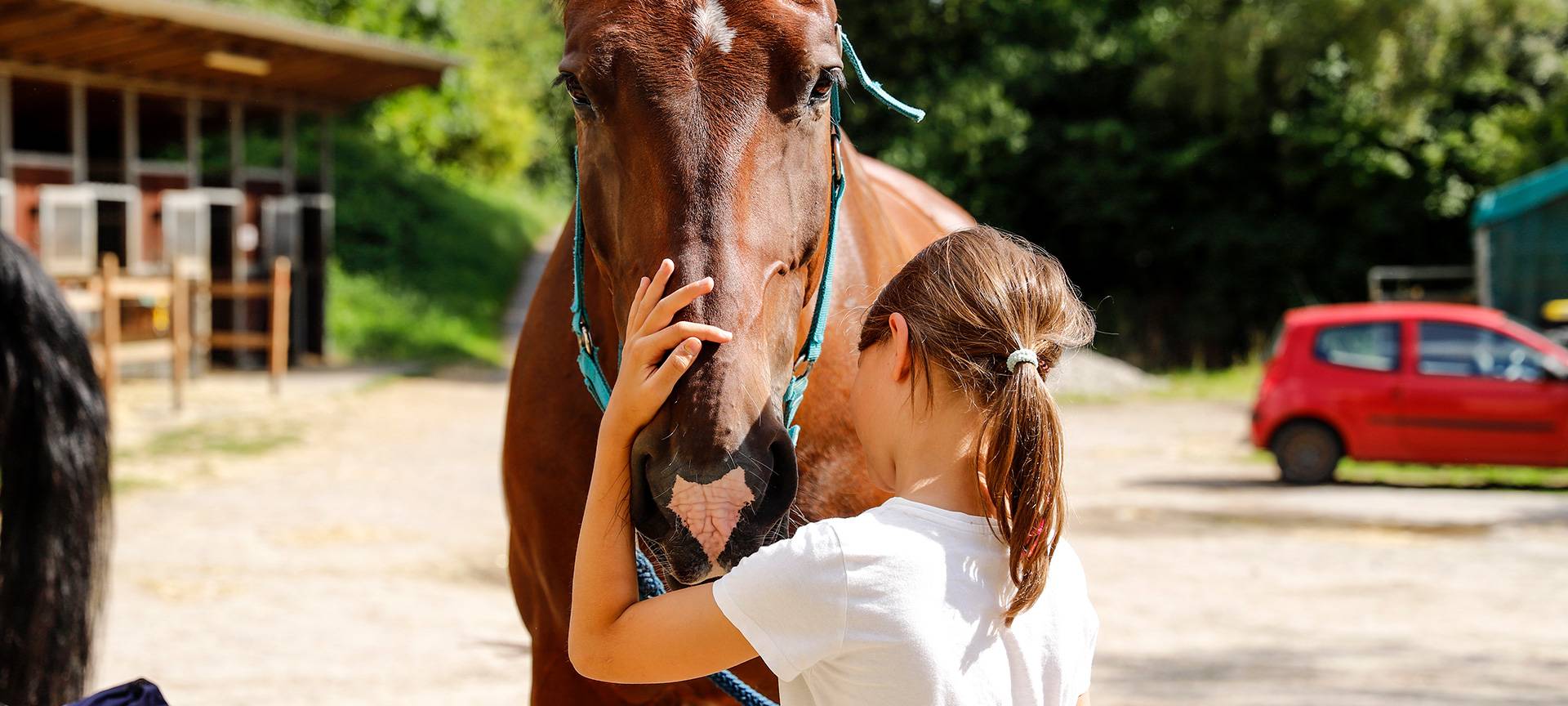 JuKi-Sommerfest – Ein Tag voller Abenteuer, Spiel & Natur