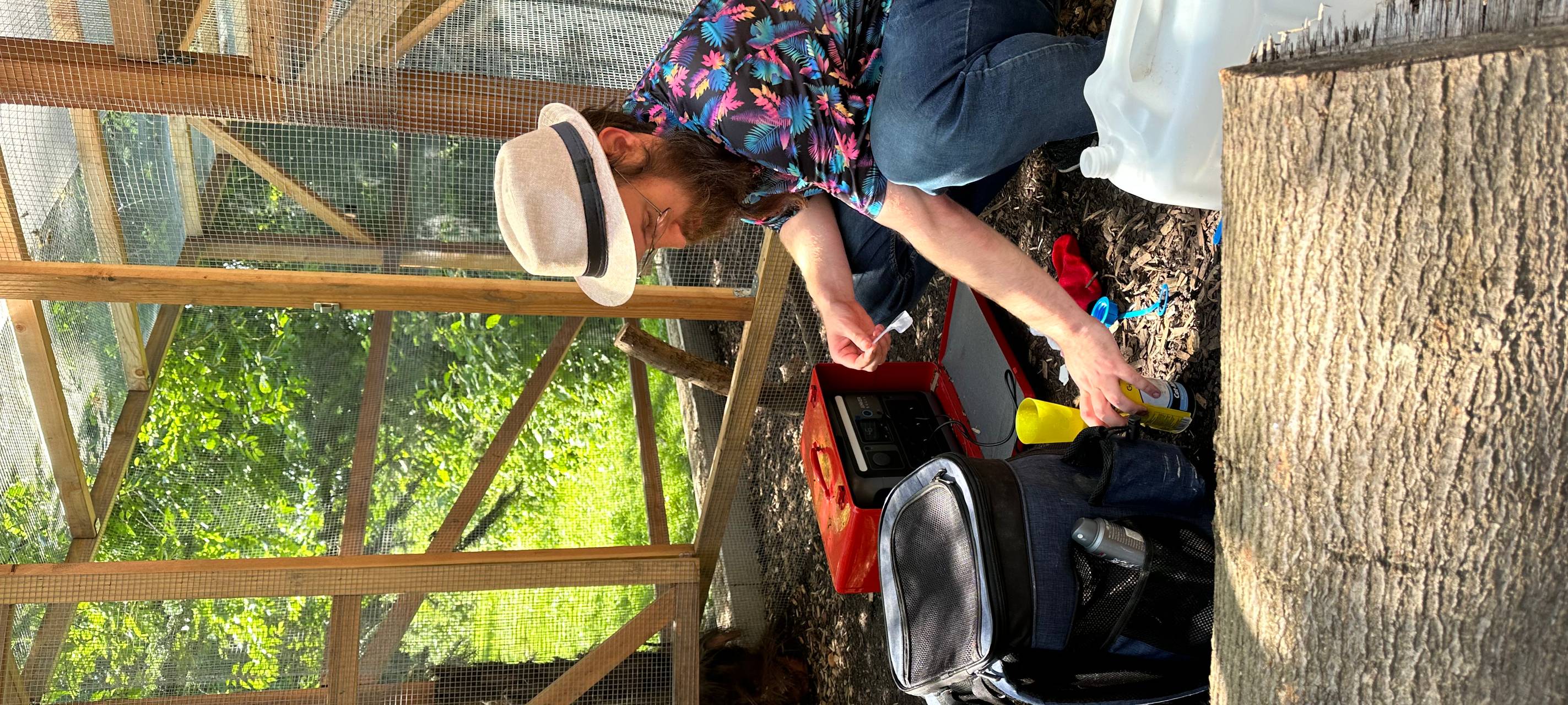 Dortmunder päppelt Eichhörnchen auf