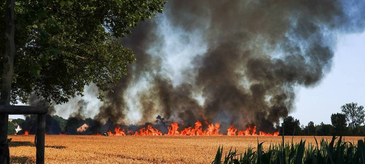 Ein Feldbrand in Nette im Jahr 2019 aufgrund von Dürre.