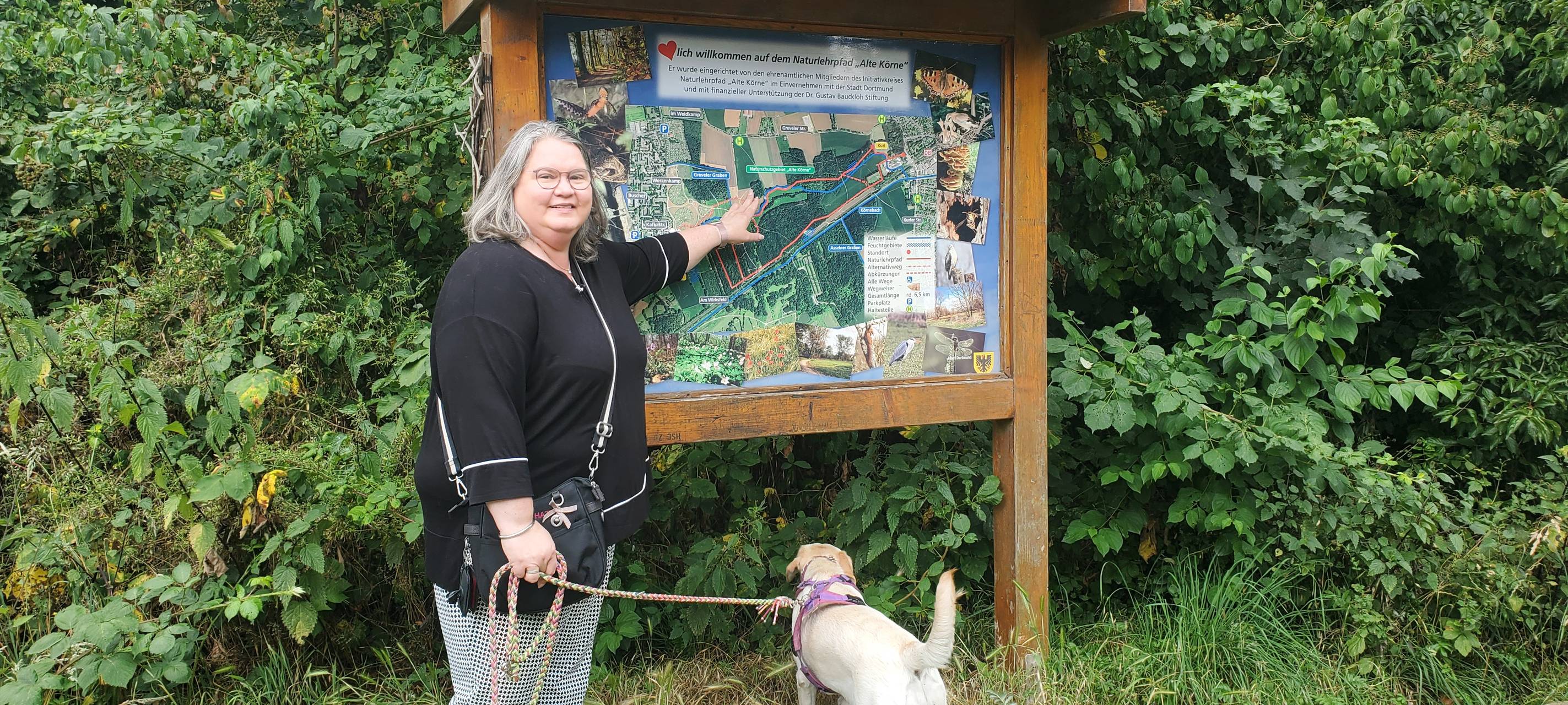 Die schönsten Wälder in Dortmund: Natur pur erleben