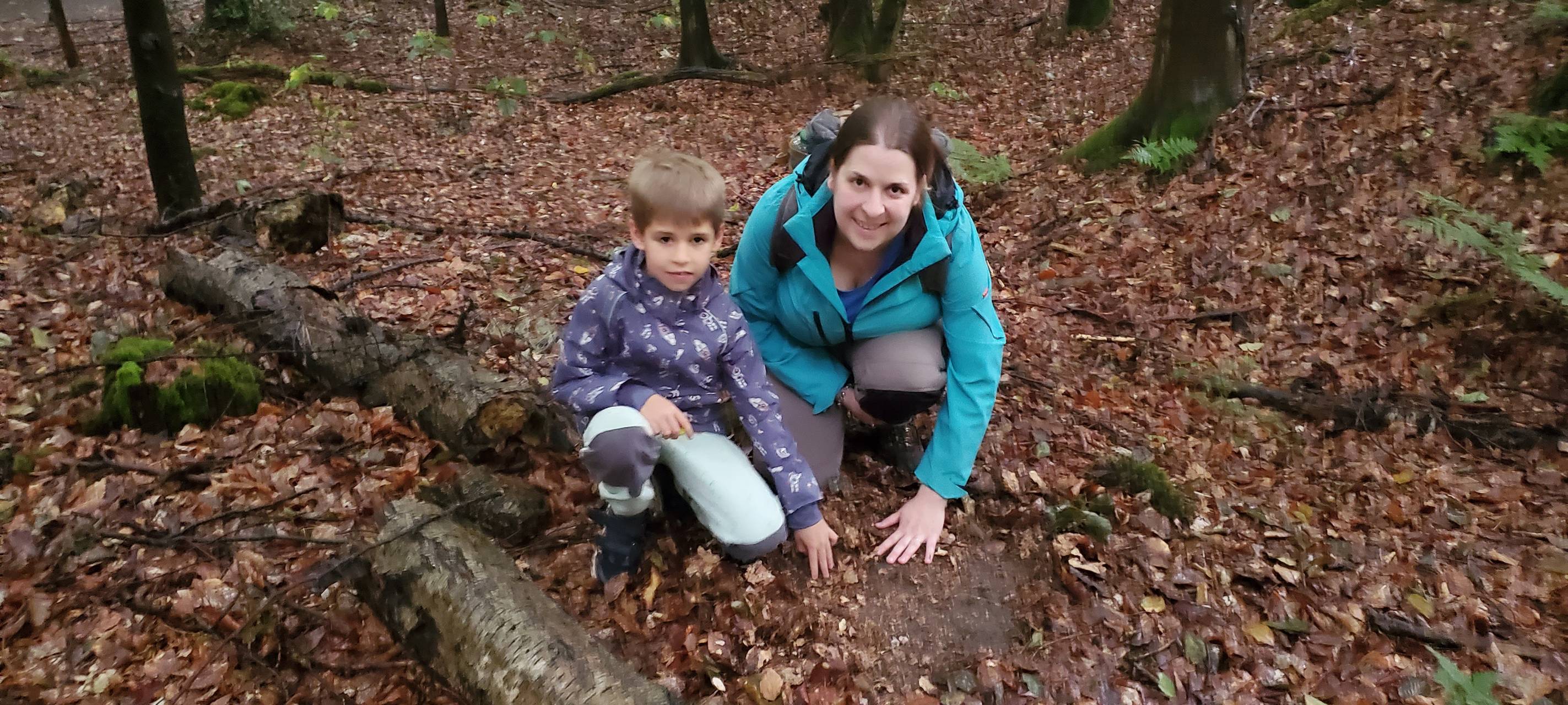 Die schönsten Wälder in Dortmund: Natur pur erleben