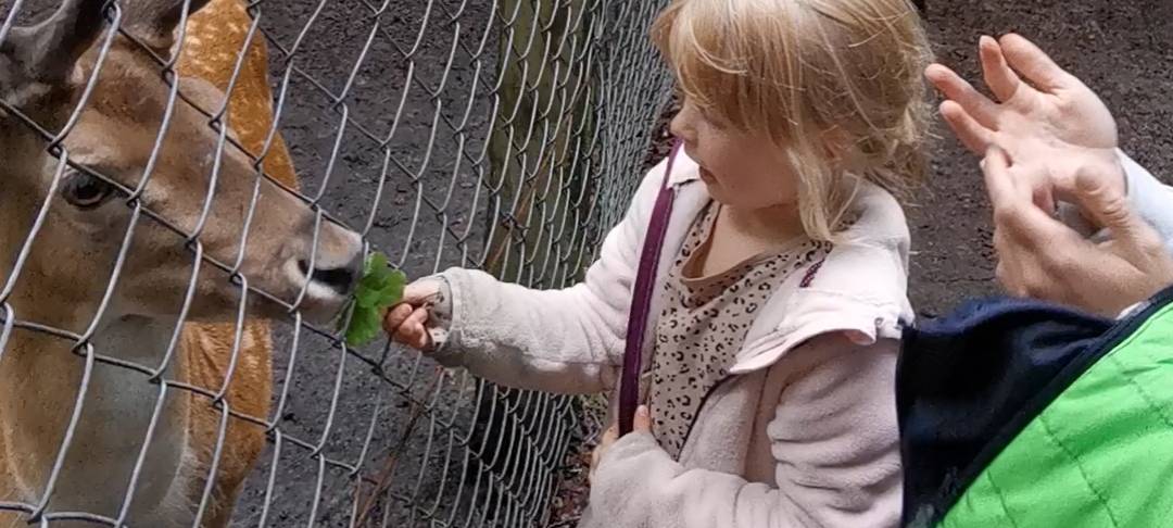 Die schönsten Wälder in Dortmund: Natur pur erleben