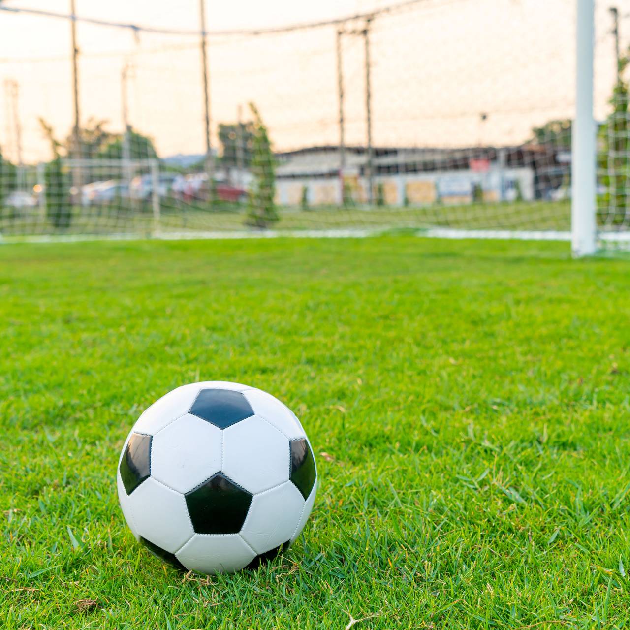 Ein Fußball liegt vor dem Tor auf dem Rasen eines Fußballplatzes