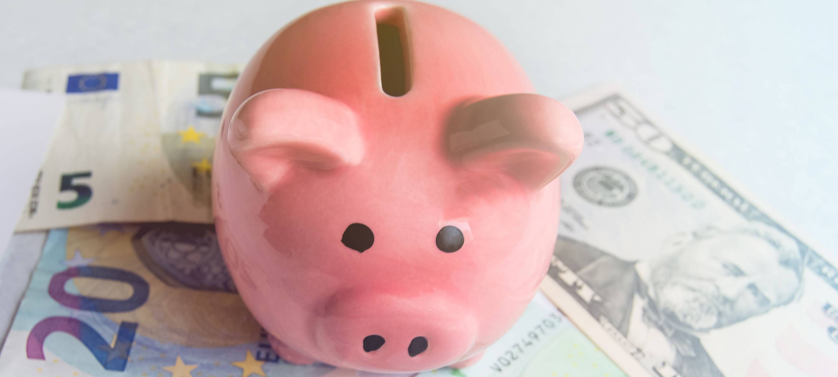 Rosa Sparschwein steht auf Geldscheinen