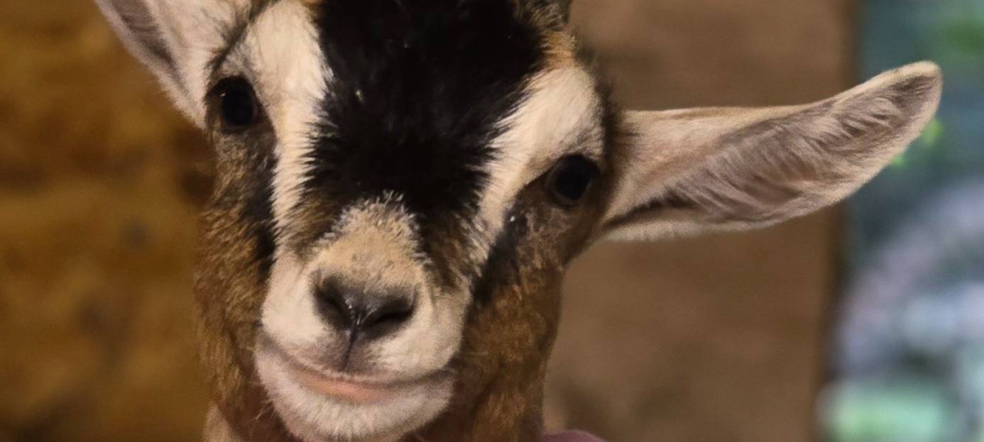 Dortmunder Herzensmenschen: Andre Migdalsky