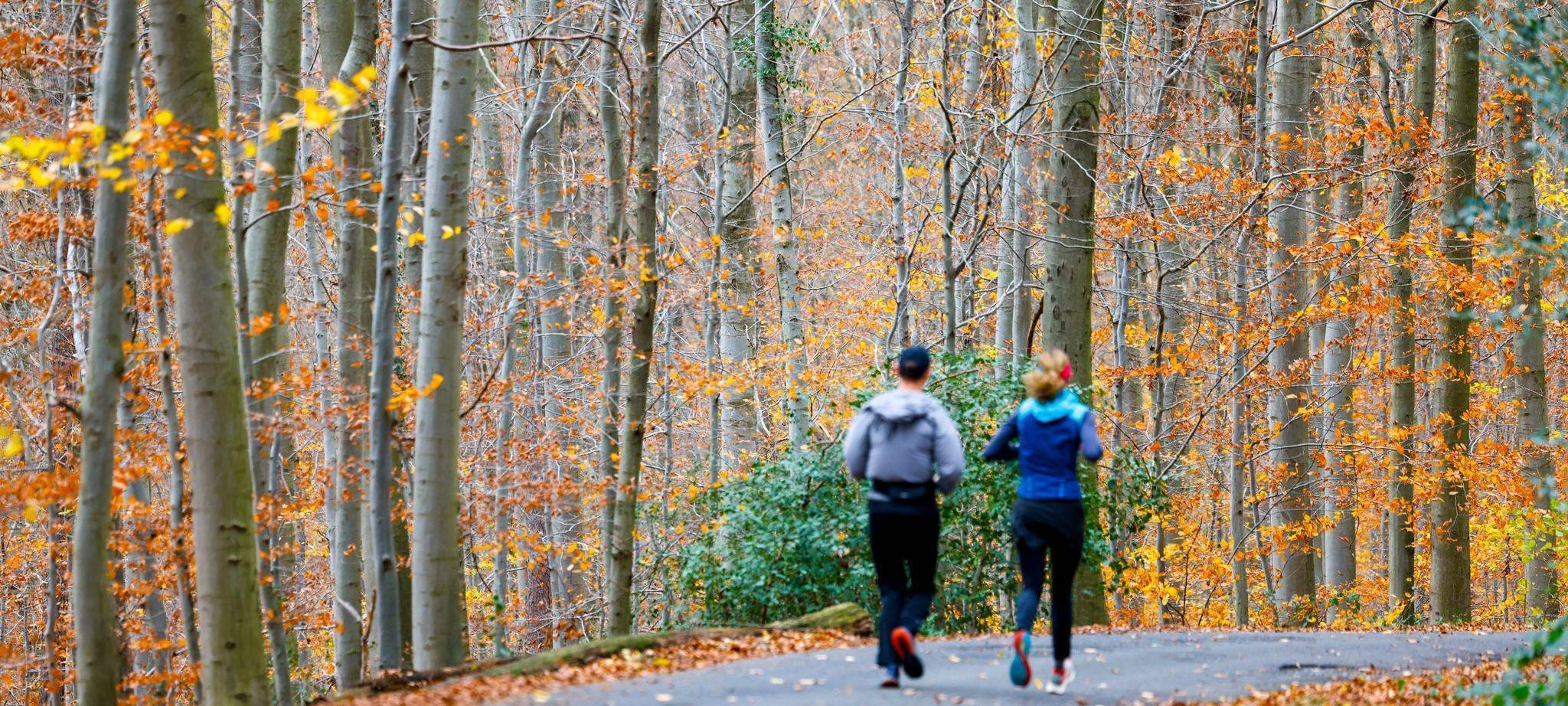 Wetter in Nordrhein-Westfalen