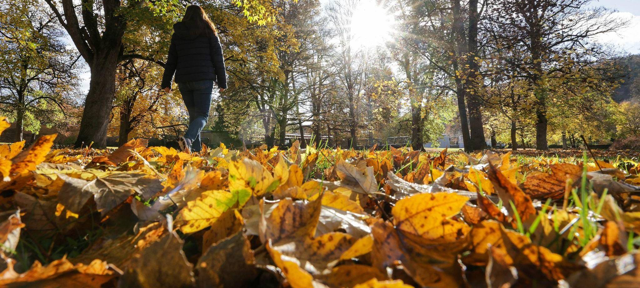Wetter in Baden-Württemberg